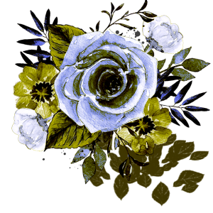 header-image-paz de alarcon rosa