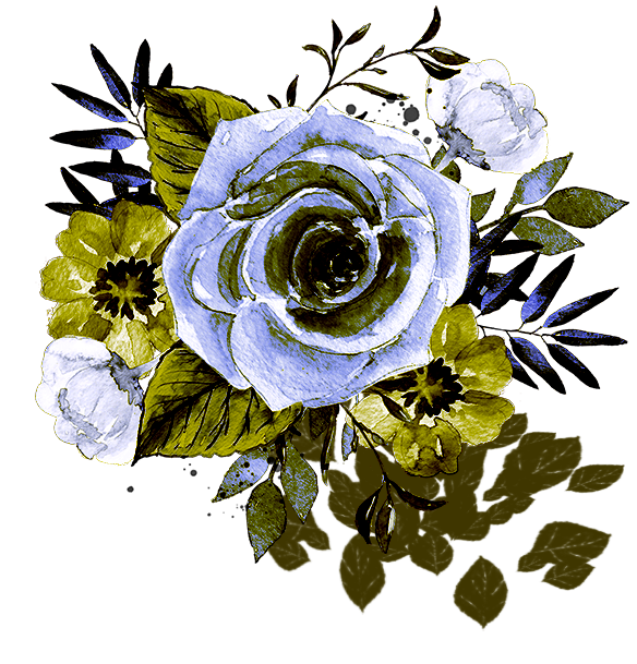 header-image-paz de alarcon rosa